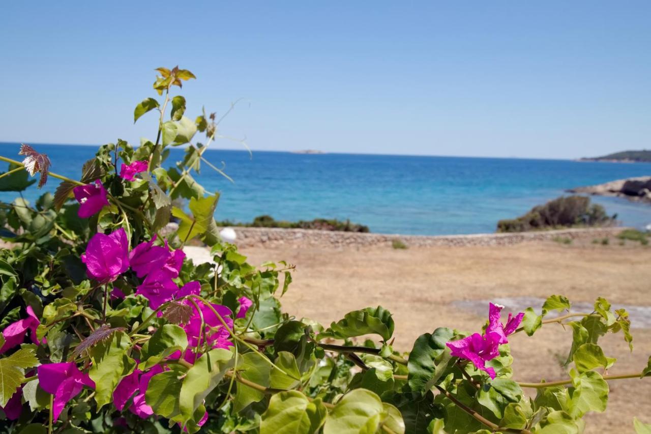 Aroura Homes 4Br Beachfront Villa Spétses Esterno foto